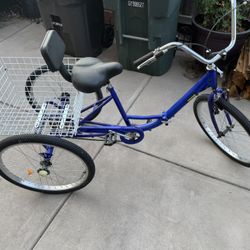 Adult Tricycle 