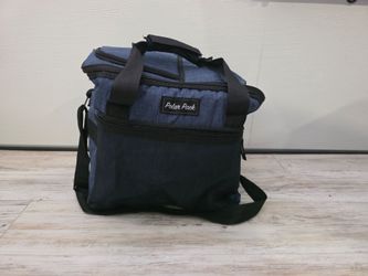 Food cooler