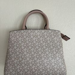 DKNY Purse 