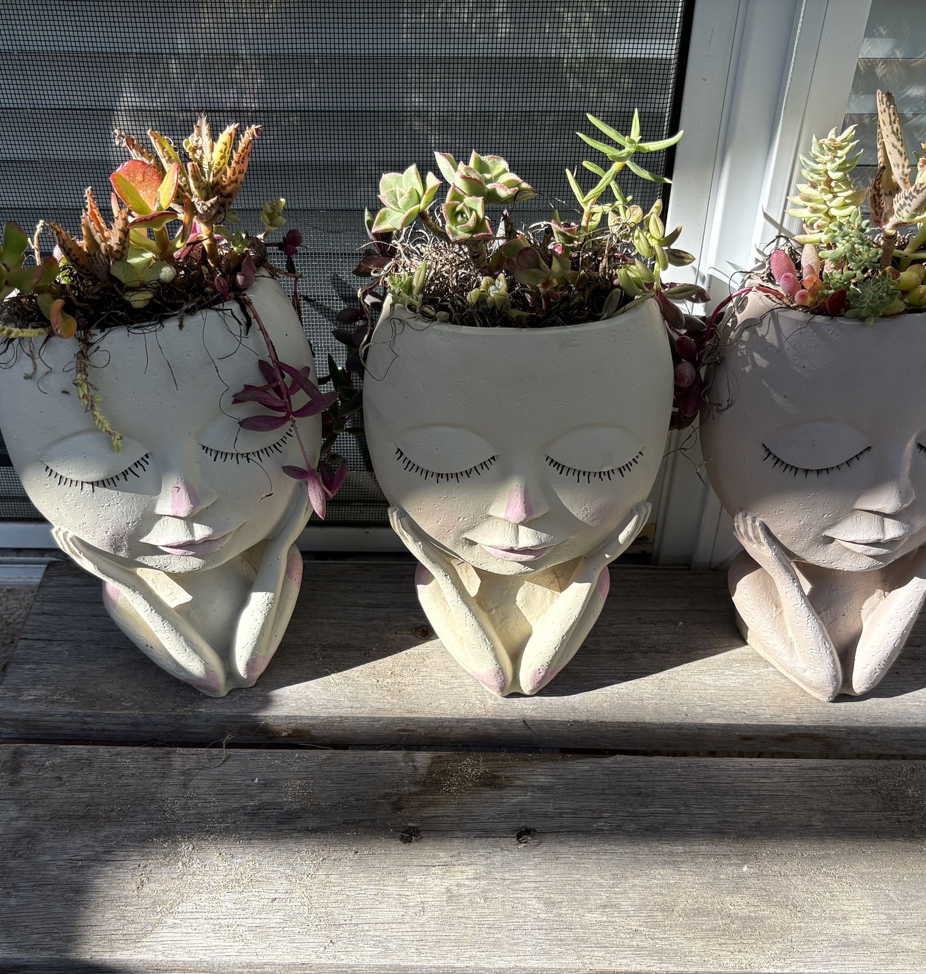 Head Shaped Planter With Succulents