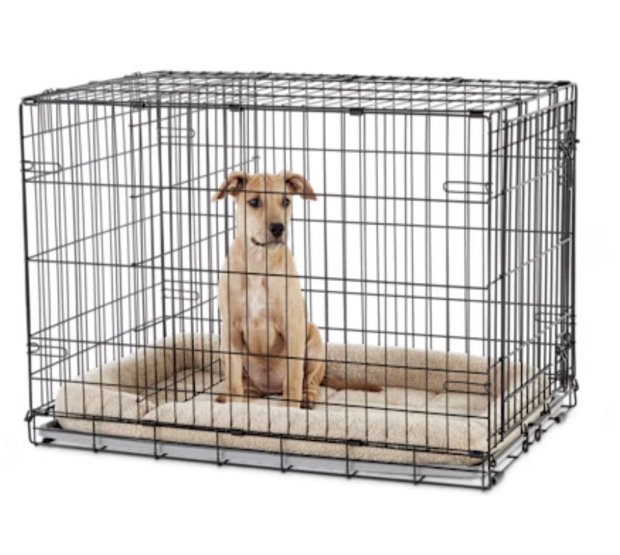 Large Dog Crate