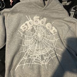 Grey Sp5der Web Hoodie