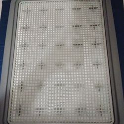 Dog potty Training Tray With Grids