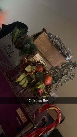 Big box of Christmas Decor