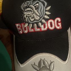 Bulldog hat eyes light up