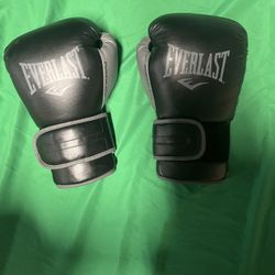 Boxing Gloves || Everlast 