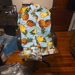 Short Sleeve Button Up Shirts