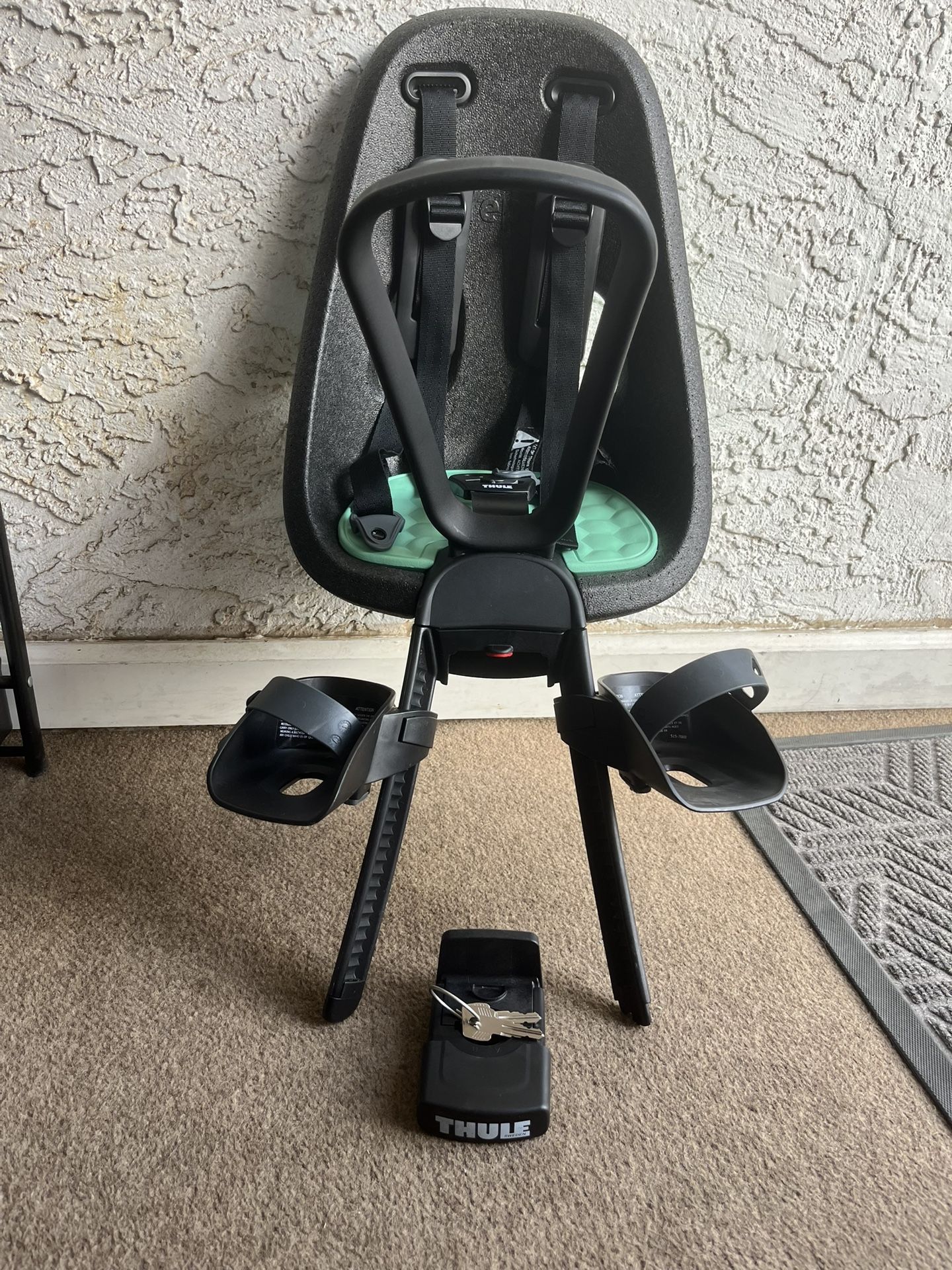 Thule Yepp Mini Child Bike Seat 