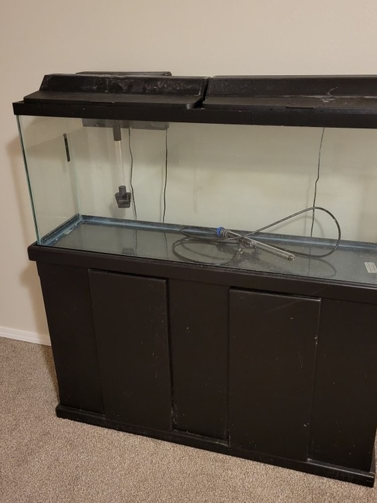 55 Gallon Fish Tank + Stand/Supplies