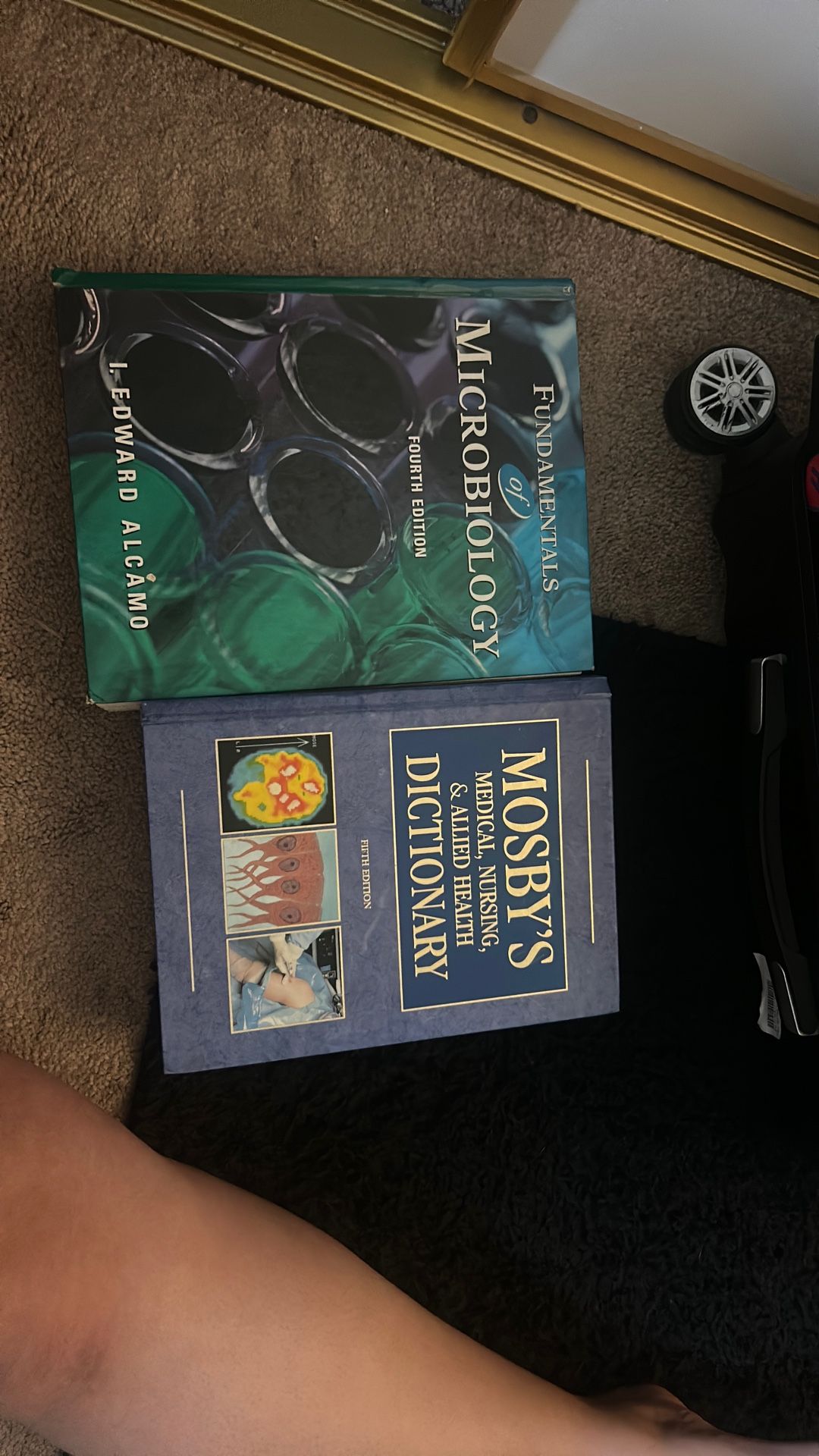 Microbiology & Mosby Nursing Dictionary