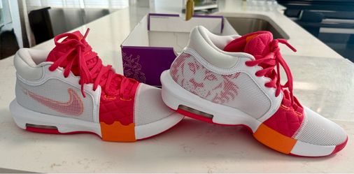 9.5M LeBron Witness Dunkin Donuts