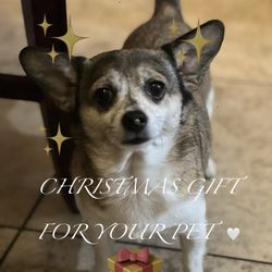 Backpack 🎒 PBSandwich 🥪 Pencil & Eraser ✏️ Note Page 📄 