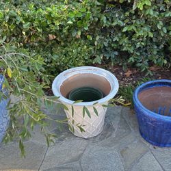 Glazed Plant Pots. $60 To $40 Each