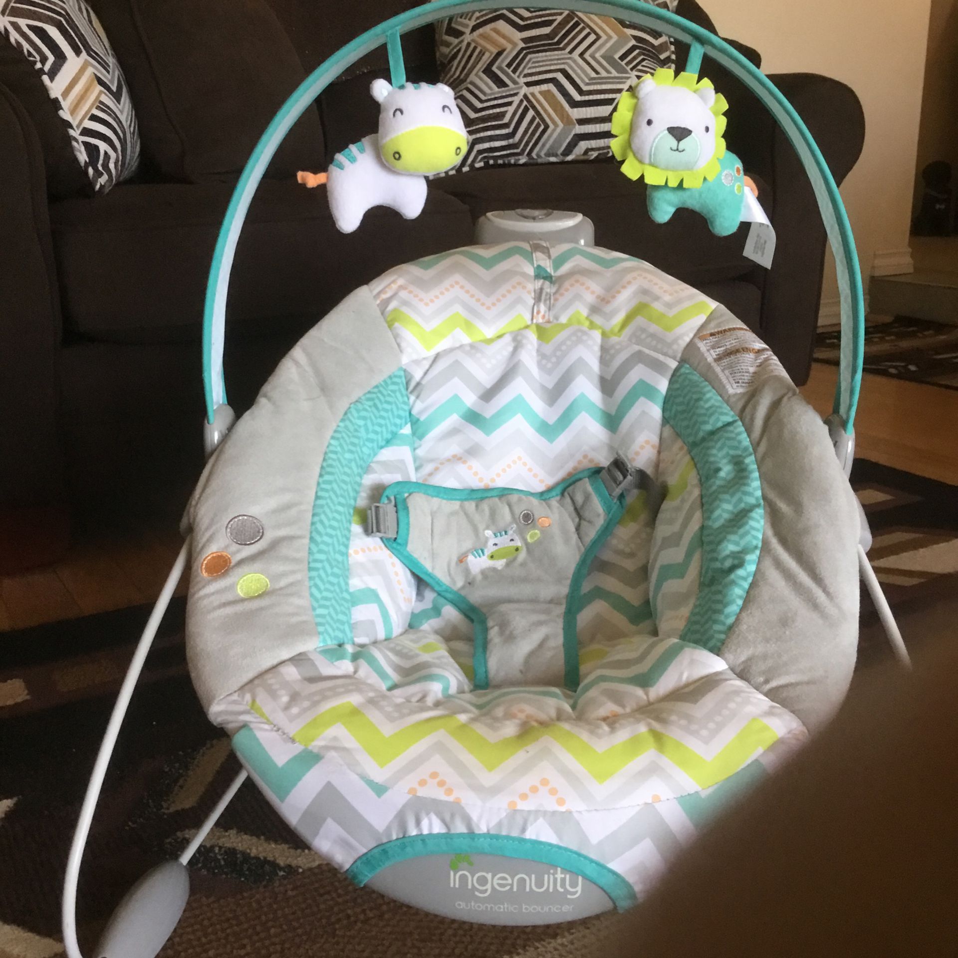 Baby Bouncer By Ingenuity Color Shows On Pictures  