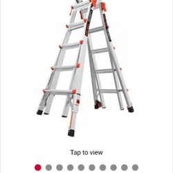 Little Giant Velocity Ladder