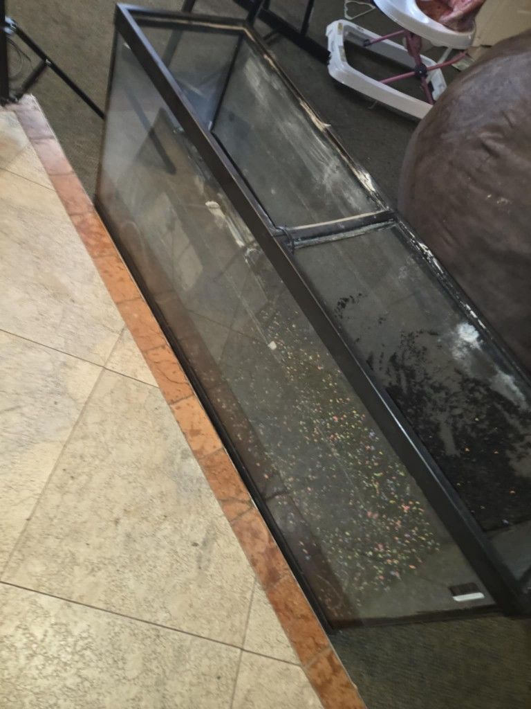 Large Aquarium