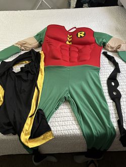 Robin Costume