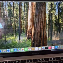 M1 Macbook Air NOT INTEL