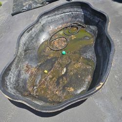 Pond