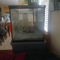 Fish Tank With The Gravel