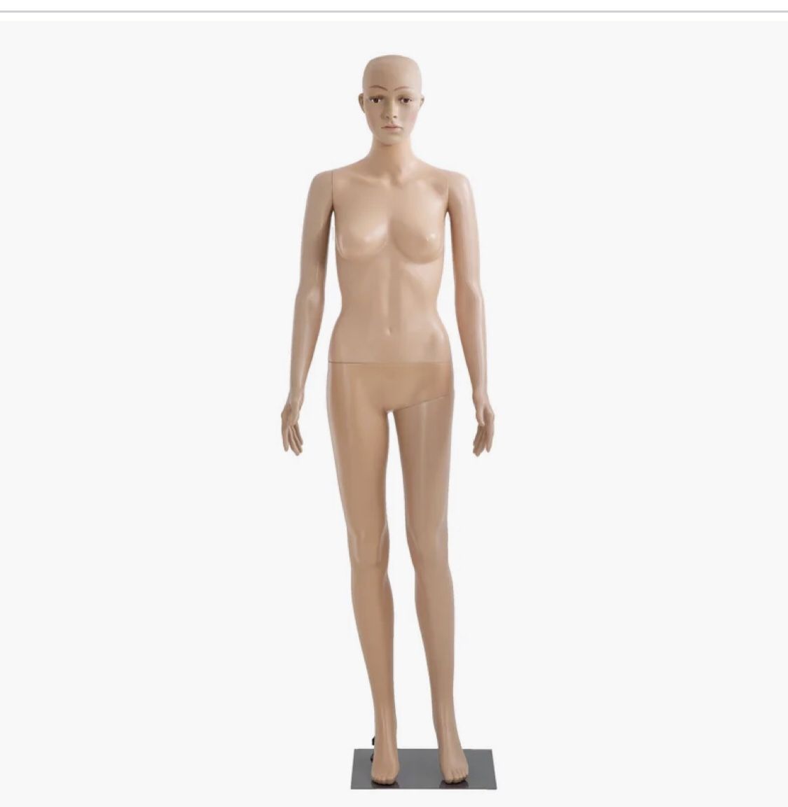 Female Mannequin With Removable Parts & Metal Stand