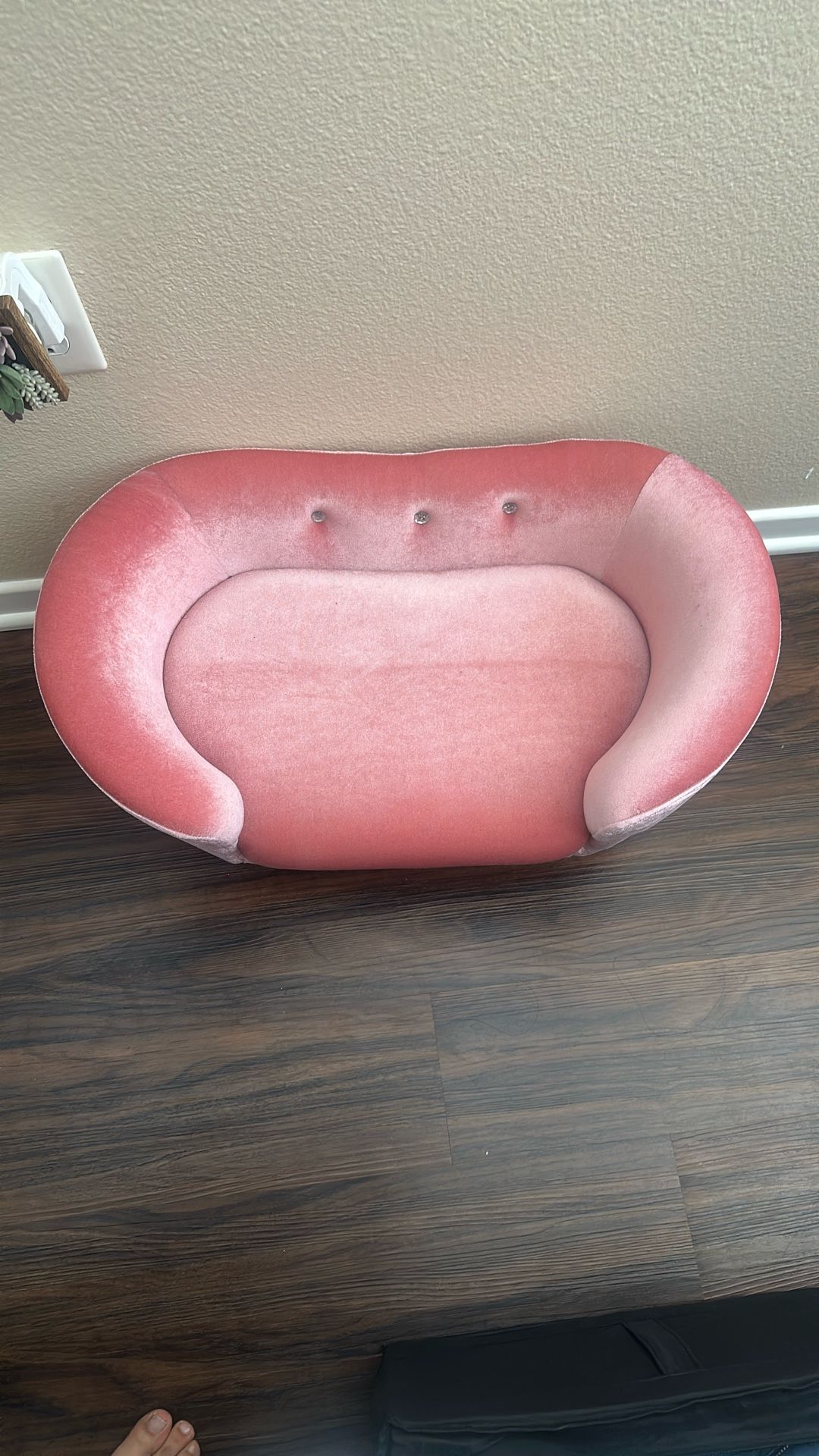 Pink Dog Couch