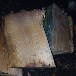 Cedar Wood Bone Dry