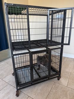 two standard cage