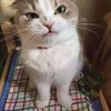 BestQualityItems-Carl