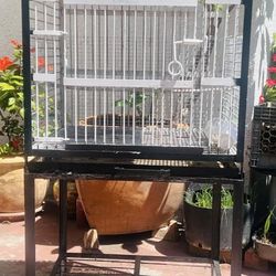 Solid Parrot 🦜 Cage 