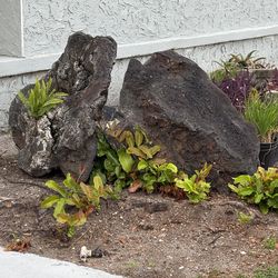 Landscape - coral rocks