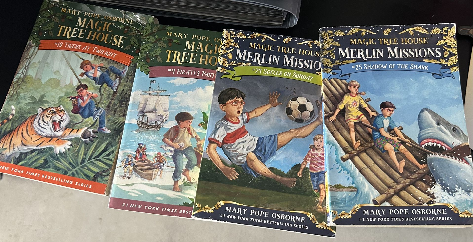 Magic Tree House Books (4)