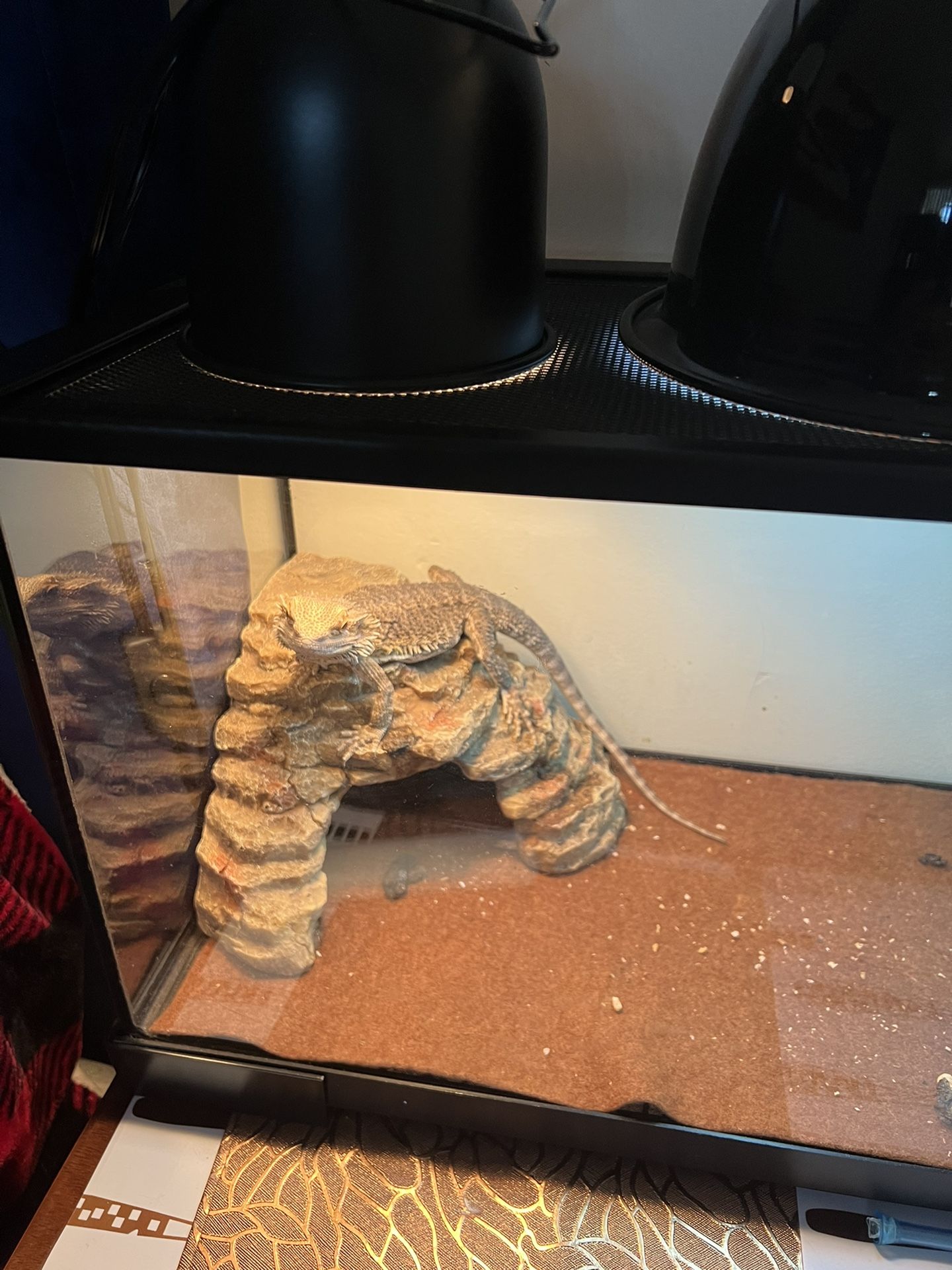 Pet Supply  Including The Tank 