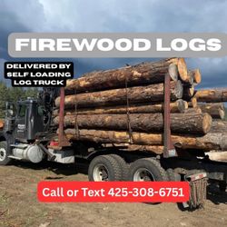 Firewood Logs