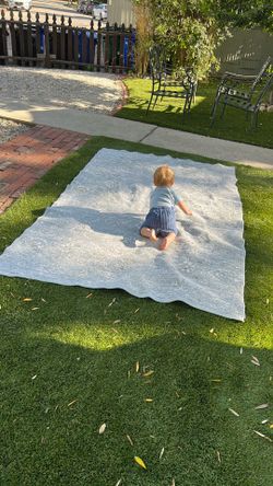 Crate and Barrel 5’x7’ Washable Rug