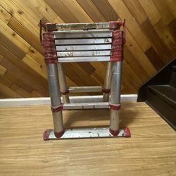 Telescopic Ladder 7-1/2 Ft 