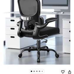 Ergonomic Office Chair, Breathable Mesh Ergonomic Desk Chair with Adjustable Lumbar Support, Flip-up Armrests, Computer Chairs Comfortable for Home, O