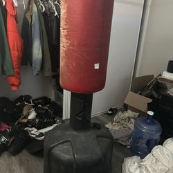 Standing Punching Bag