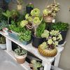Sandra