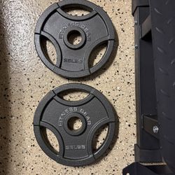 Weights Plates 25lbs 50lbs Total