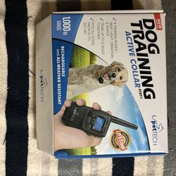 Dog Training Collar