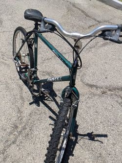 Adult Bike Green With Adjustable Seat & Handle