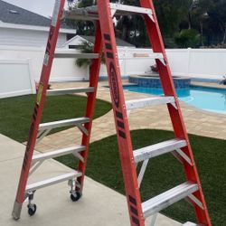 Werner Platform Ladder With Caster 
