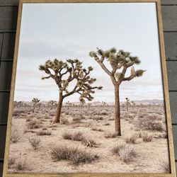 24” x 30” Joshua Tree Framed Print