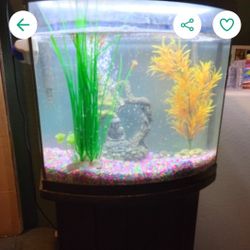 20 Gallon Fish Tank & Stand For Sale - $60