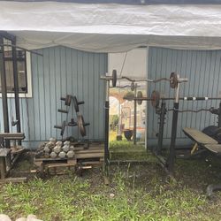 Olympic Style Weights