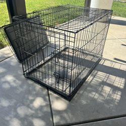 Dog kennel 