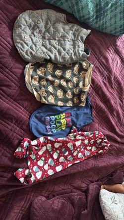 Dog Clothing