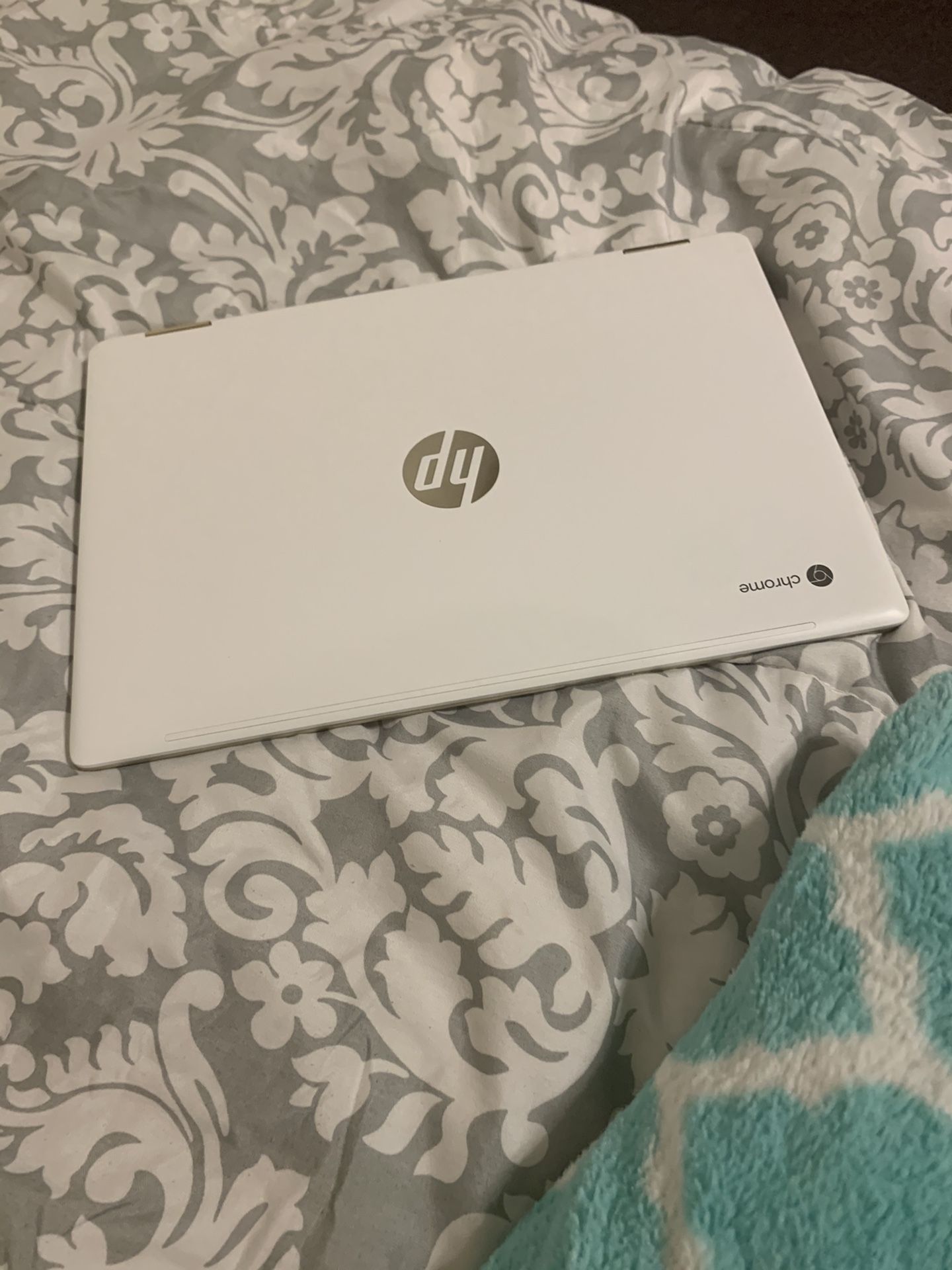 HP chrome book