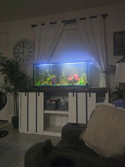 55 gallon fish tank